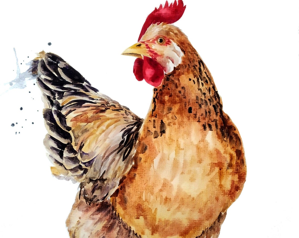 Rustic Brown Hen Watercolor Chicken Poster Farmhouse Bird Art