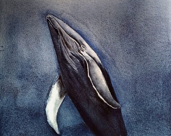 Humpback Whale Diving Watercolor Deep Sea Marine Life Art Poster