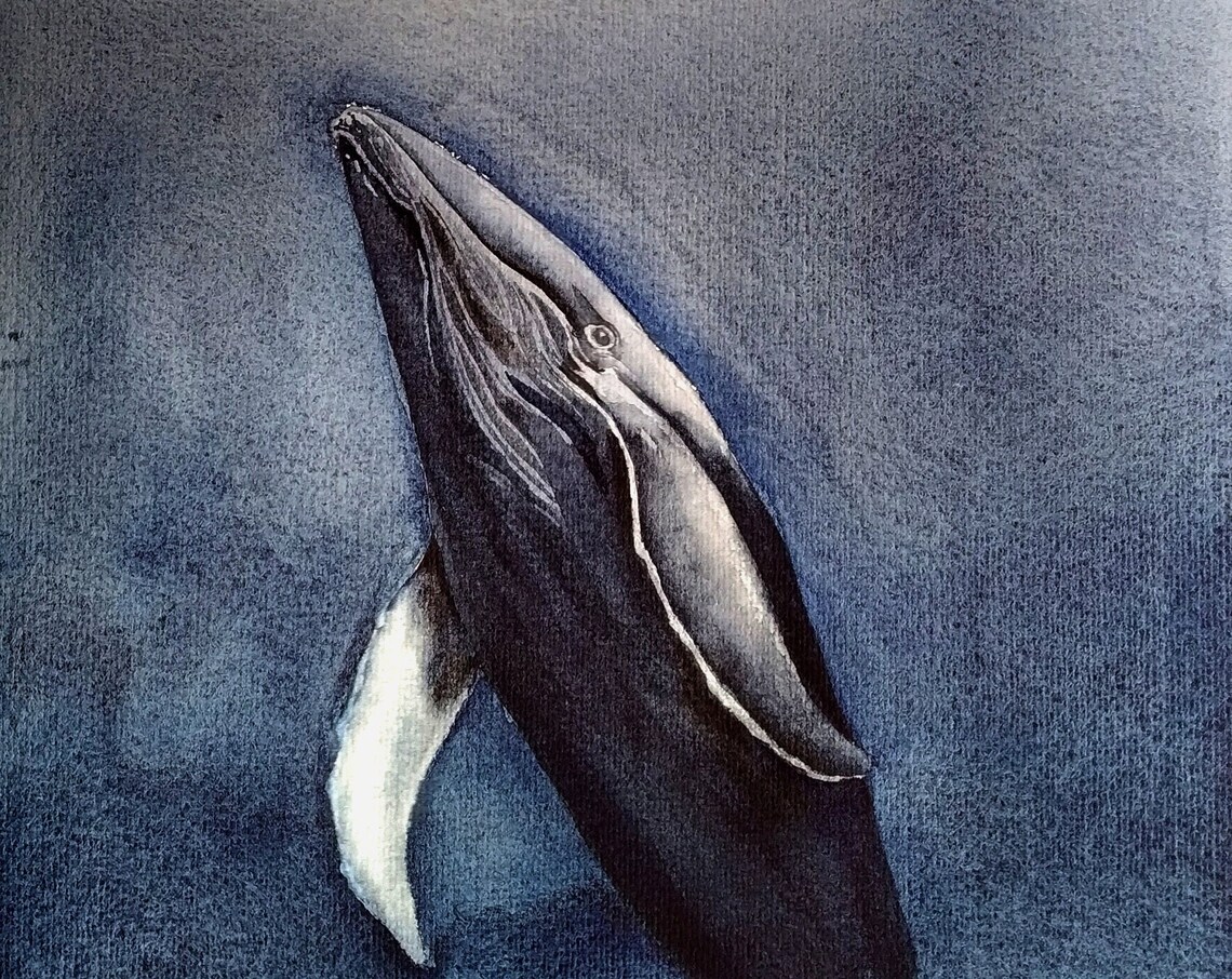 Humpback Whale Diving Watercolor Deep Sea Marine Life Art Poster
