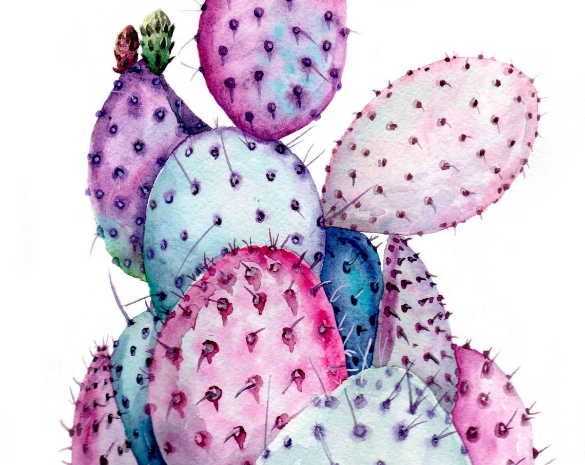 Pastel Pink and Blue Prickly Pear Cactus Watercolor Art Poster