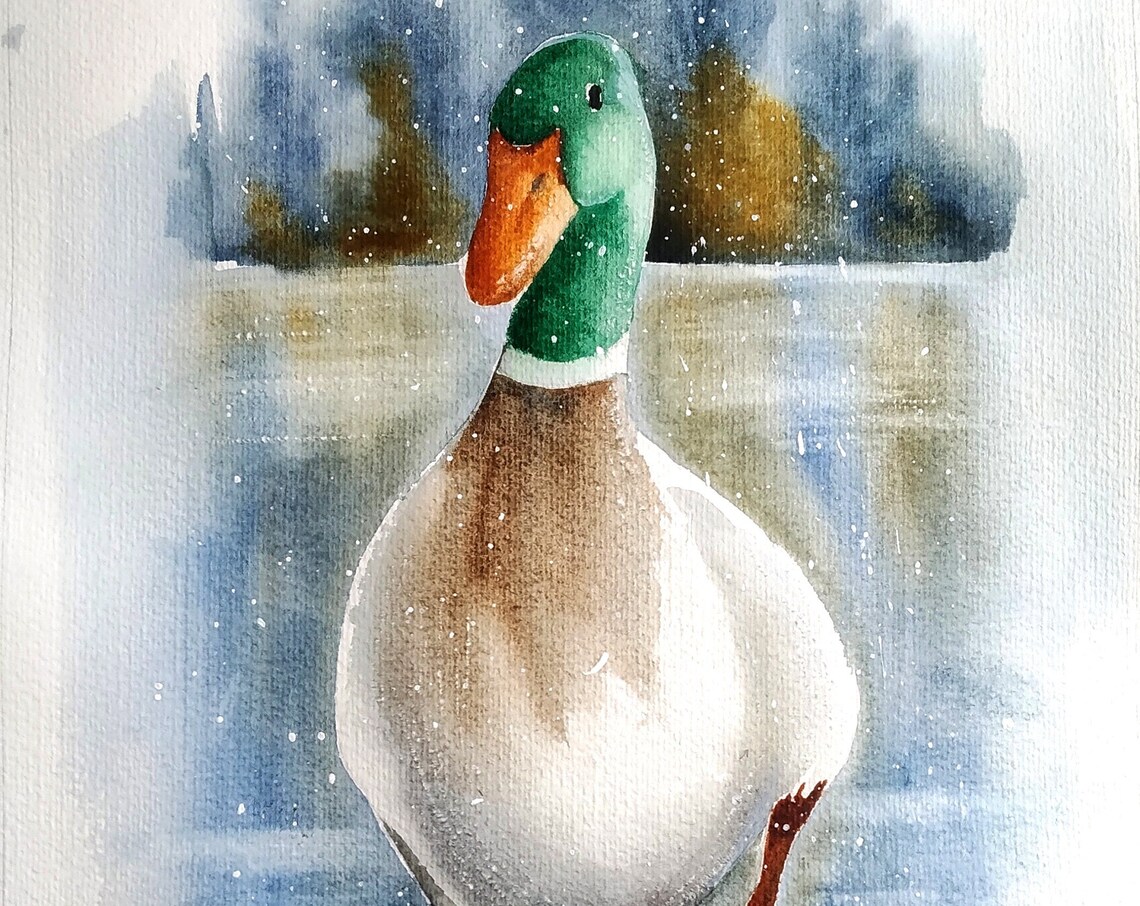Mallard Drake in Winter Snow by the Water Watercolor Bird Poster