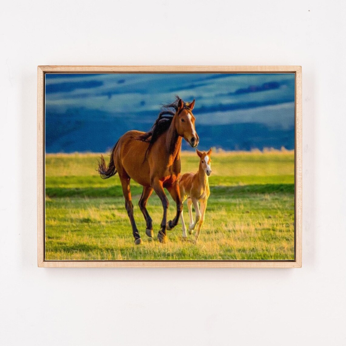 Chestnut Mare And Foal Galloping Across Sunny Green Pasture Poster - Image 4