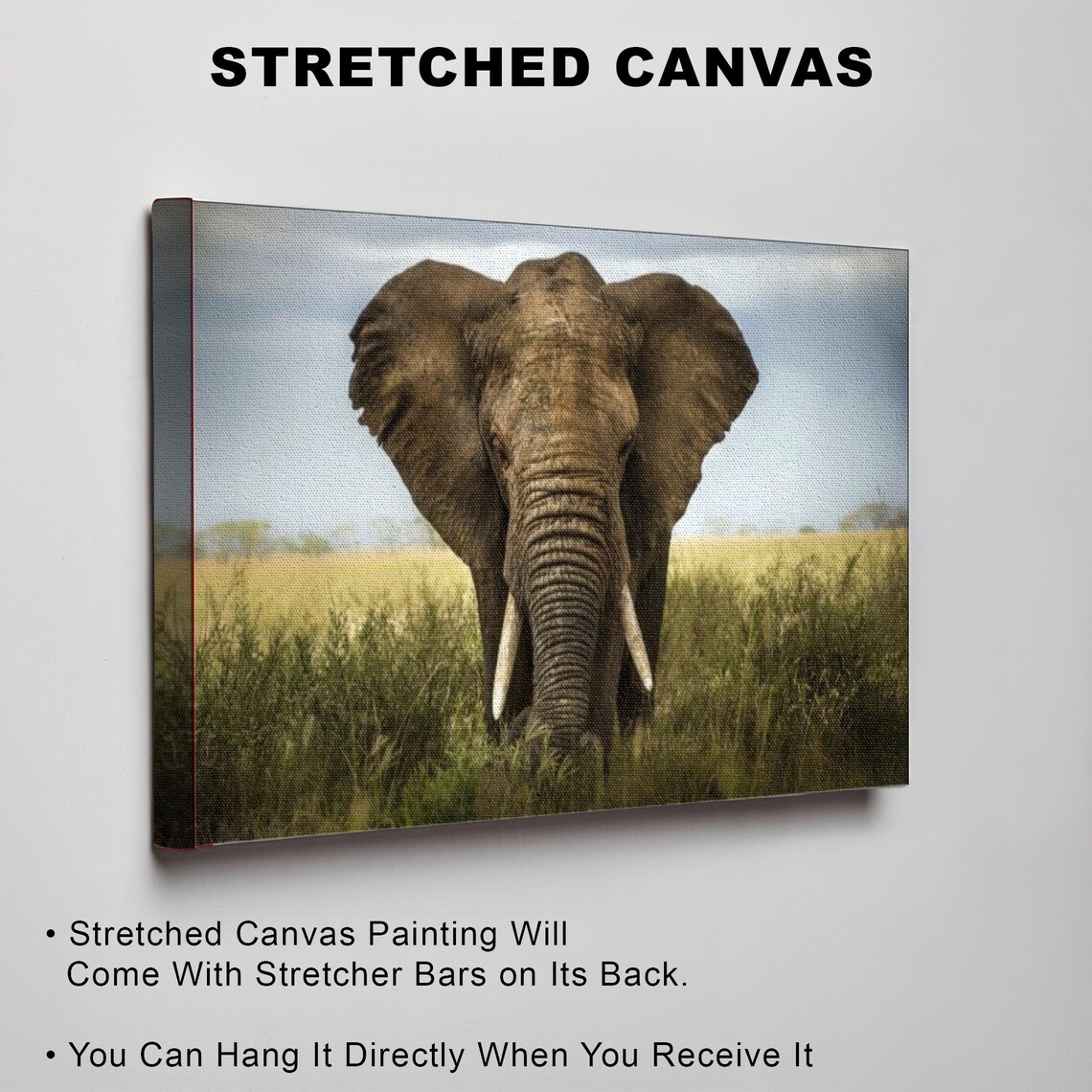 African Elephant Close-Up In The Grassy Savanna Photo Art Poster - Image 3