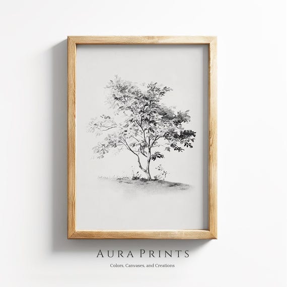 Handdrawn Tree Sketch Nature Line Art 1297