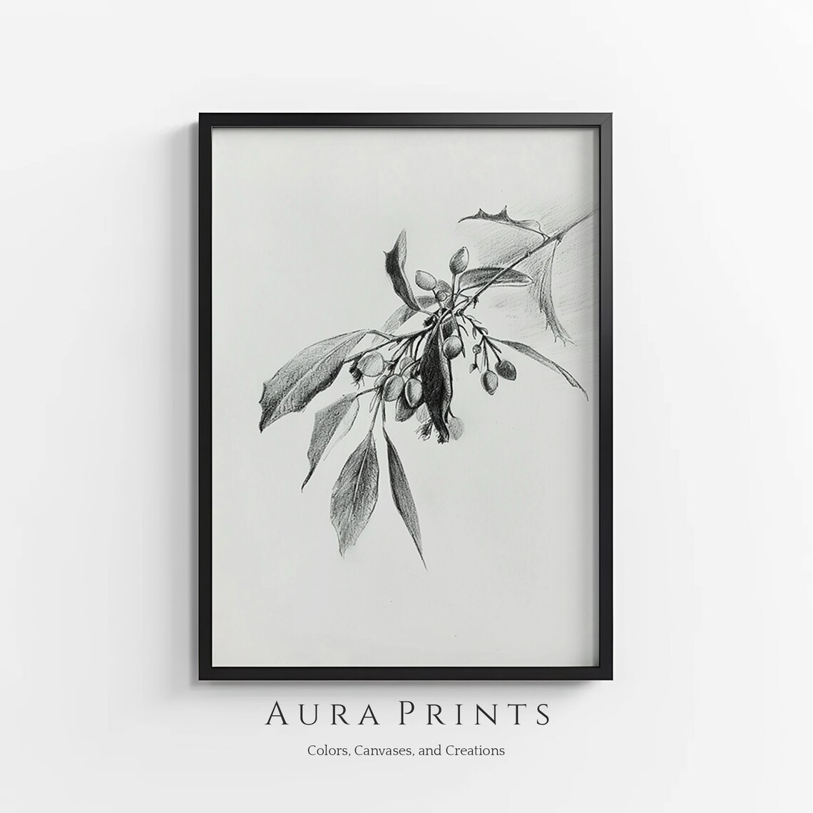 Mistletoe Branch Pencil Sketch Botanical Winter Berry Drawing Poster