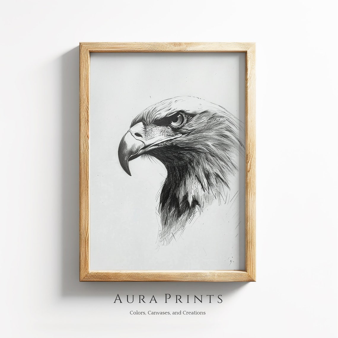 Bald Eagle Profile Portrait Pencil Sketch Wildlife Art Poster
