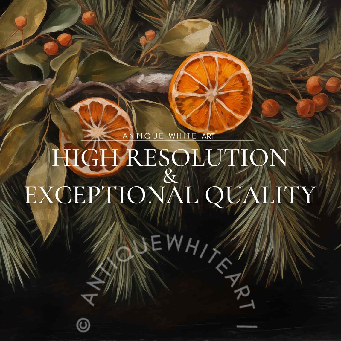 Christmas Vintage Botanical Citrus Art Print - Image 4