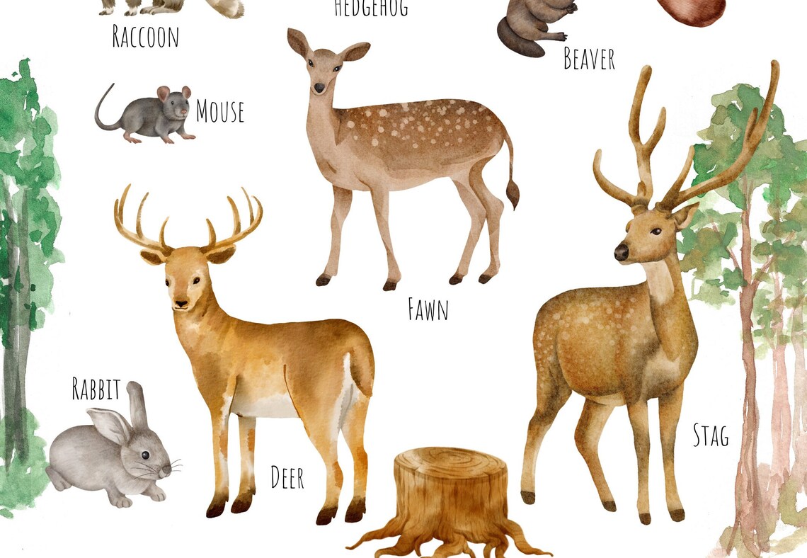 Woodland Creatures Poster, Forest Animal Print - Image 4