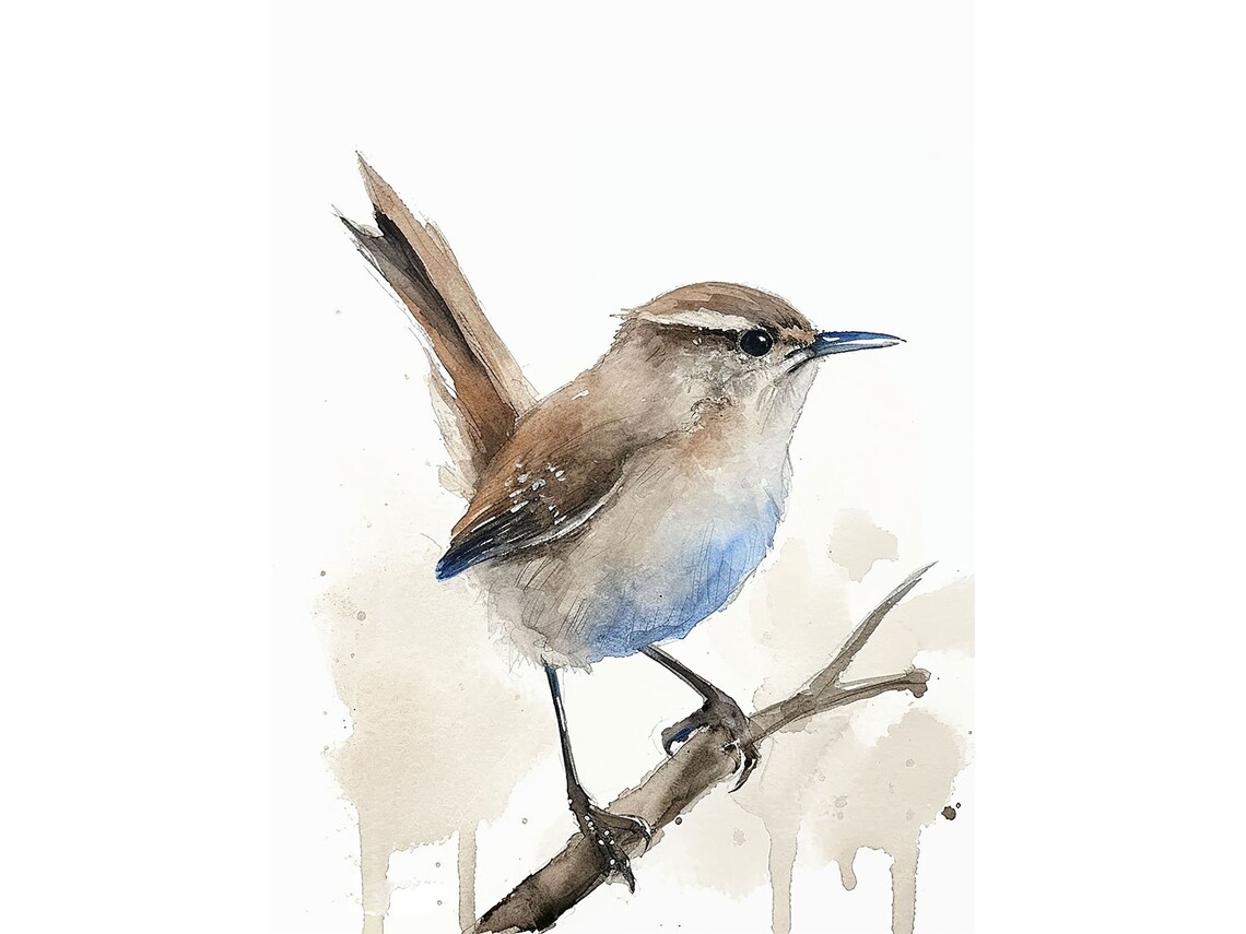 Wren Painting Cute Bird Watercolor Art Print