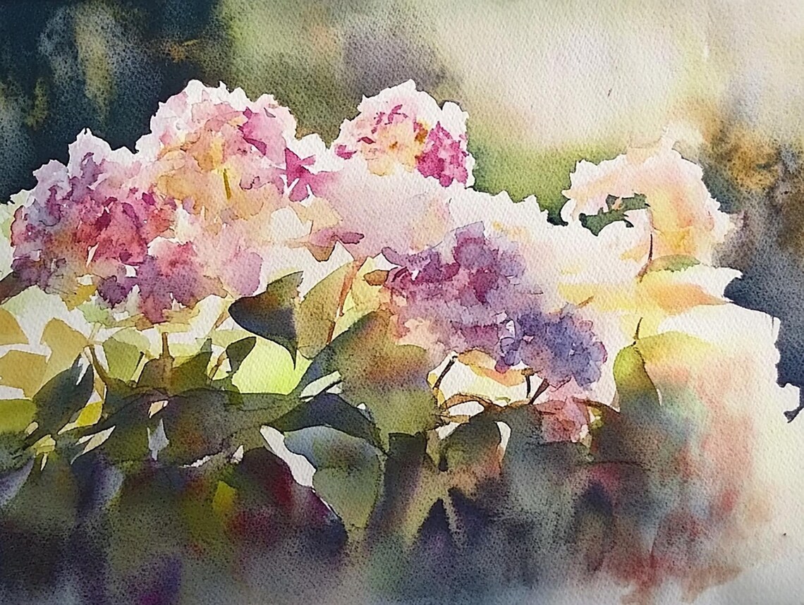 Pink Hydrangea Blossom Bouquet Floral Watercolor Poster for Home