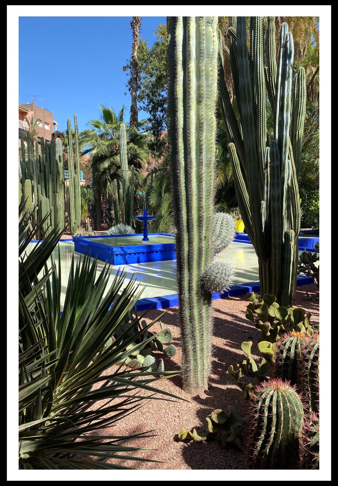 Jardin Majorelle Blue Pool Cactus Garden Morocco Photography Poster