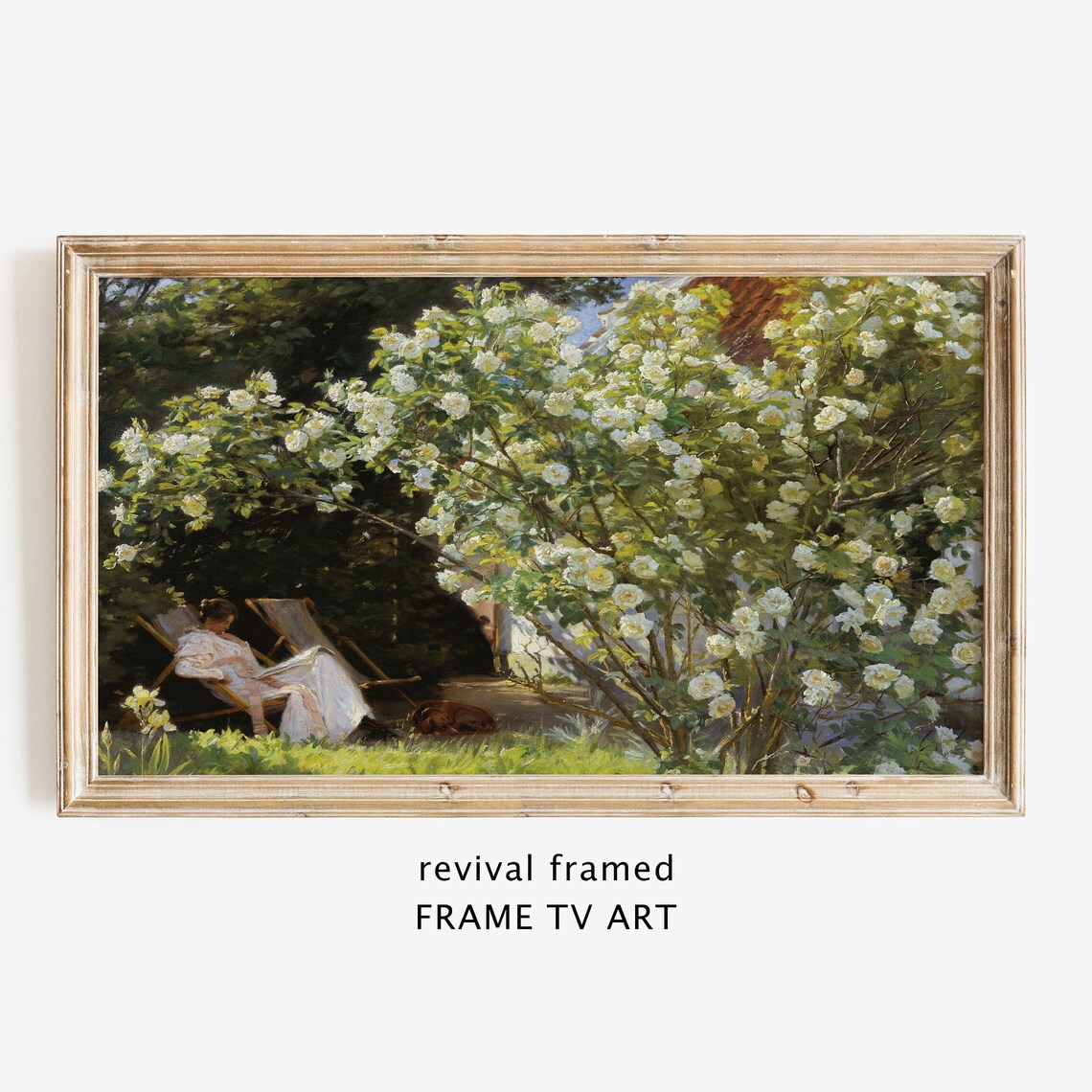Krøyer Roses Woman Reading in White Rose Garden Danish Summer Style Wall Art