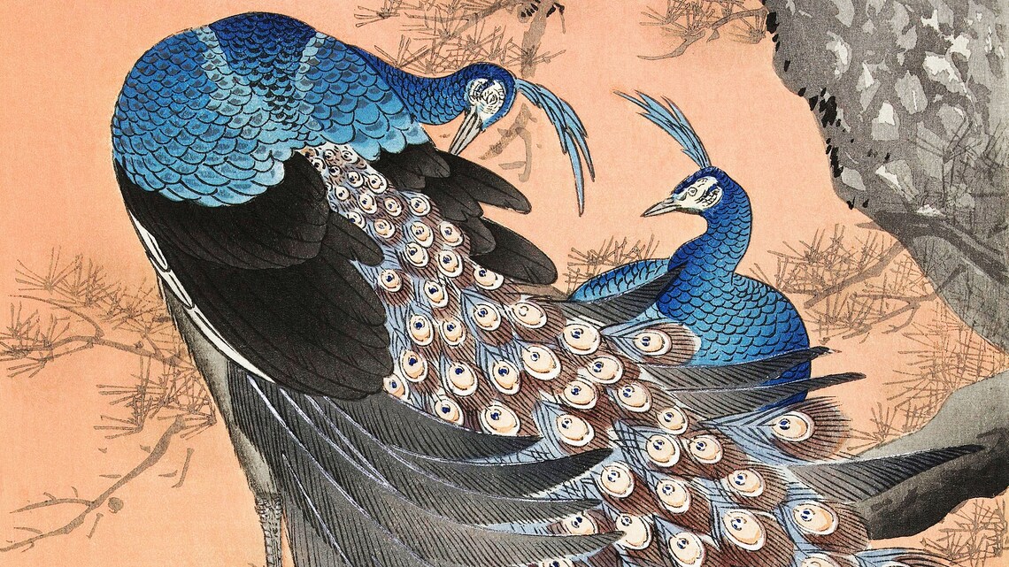 Japanese Woodblock of Two Peacocks on Pine Branch Art Poster - Image 2