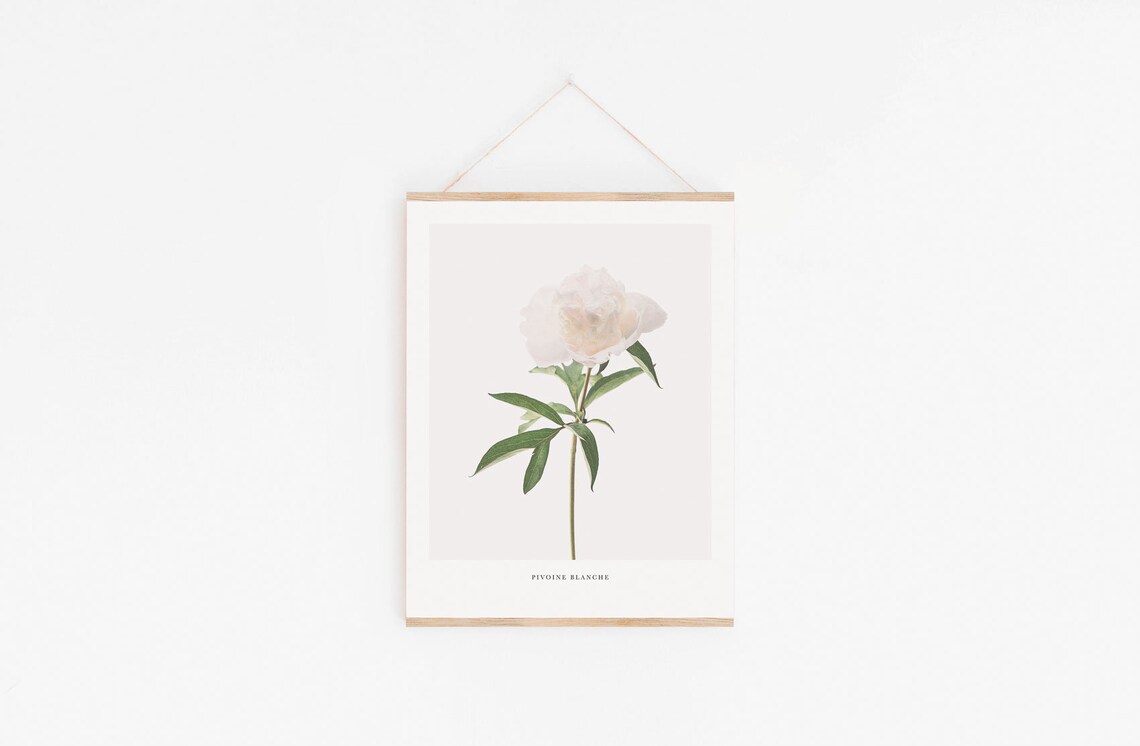 Peony Print, Minimal Botanical Art Print - Image 2