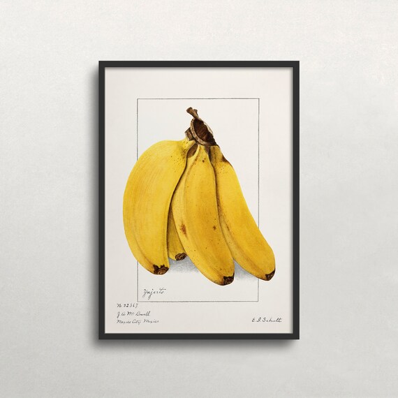 Bananas Wall Art Fruit Wall Art Vintage Wall Art Food Wall Art Kitchen Wall Decor Wall Art 401