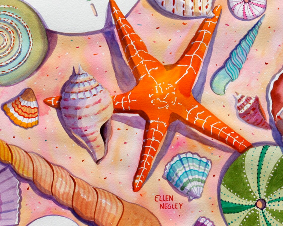 Ellen Negley Florida Seashell and Starfish Art Print - Image 3