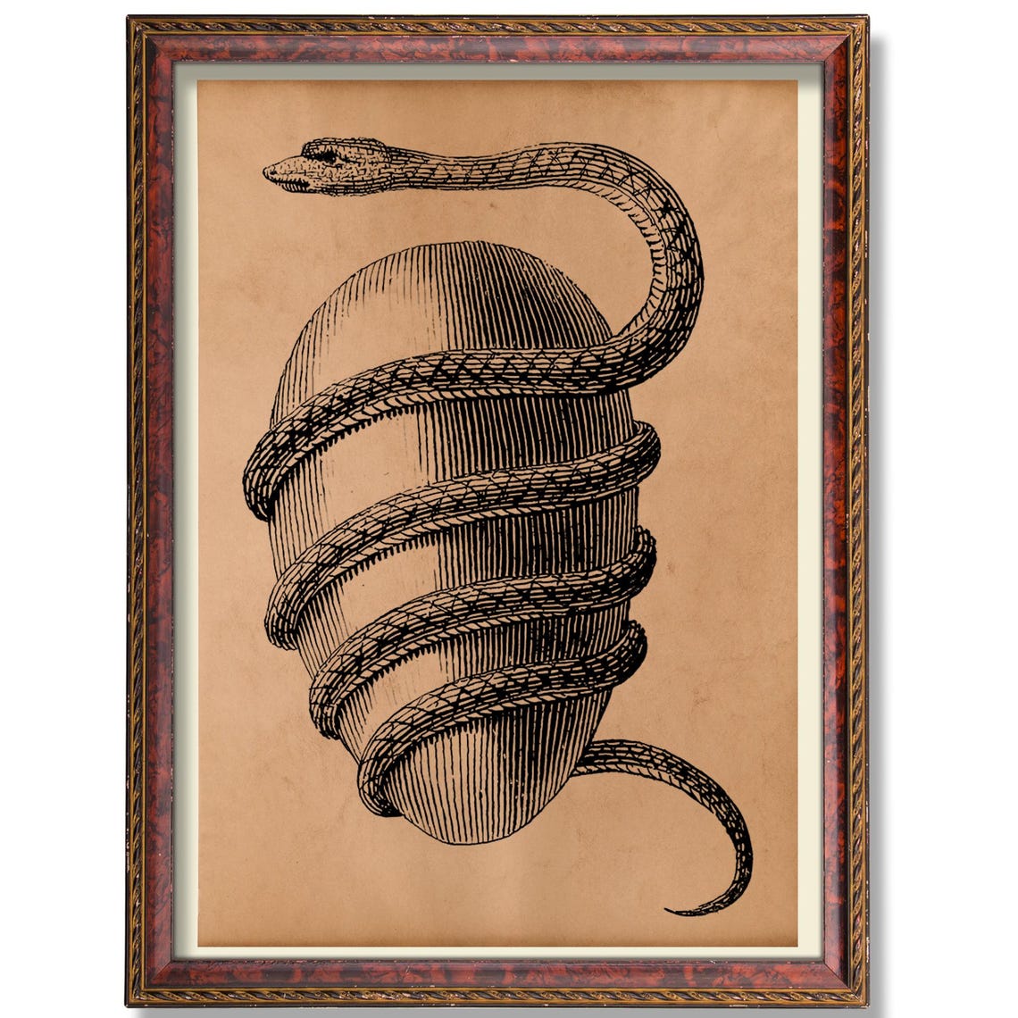 Orphic Egg Occult Print Alchemical Serpent Cosmic Wall Art Hermetic Esoteric Symbol Ancient Mythology Illustration