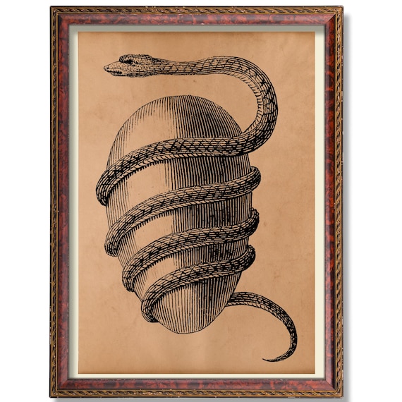 Orphic Egg Serpent Coiled Alchemical Cosmic Symbol Vintage Poster