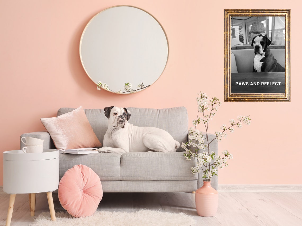 Paws And Reflect Funny Dog Cafe Photo Pun Quote Humor Wall Poster - Image 2
