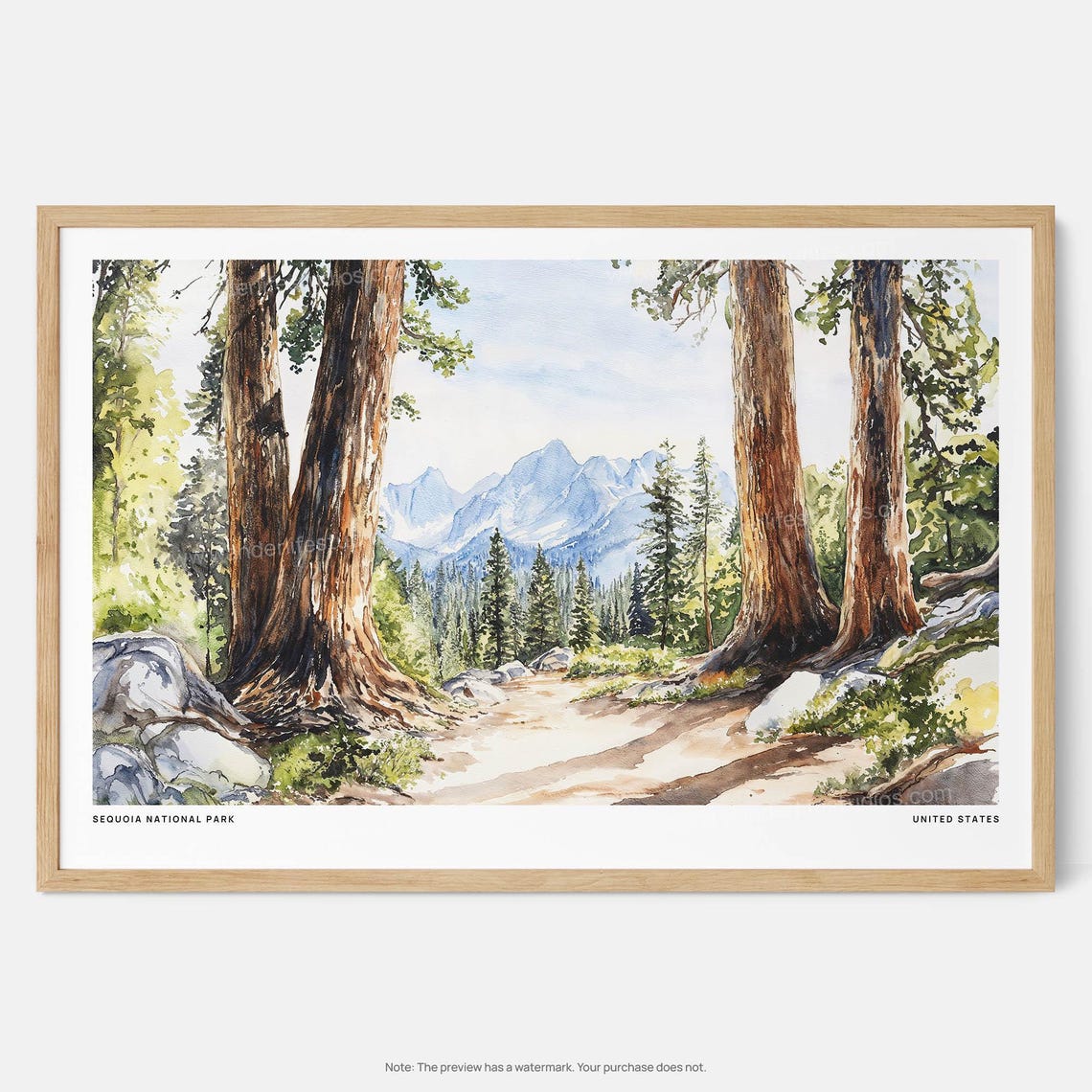 Sequoia National Park Ancient Giants Trail Watercolor Poster