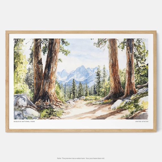 Sequoia National Park Ancient Giants Trail Watercolor Poster