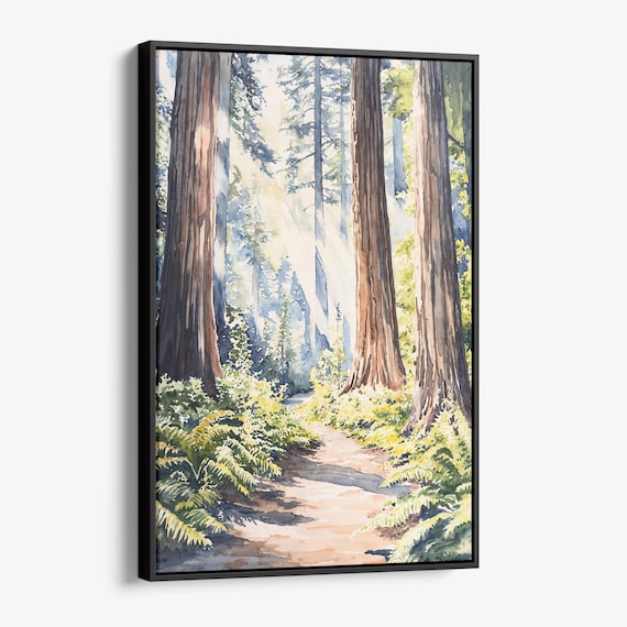 Sunbeam Redwood Forest Trail Watercolor Light Nature Gift Poster