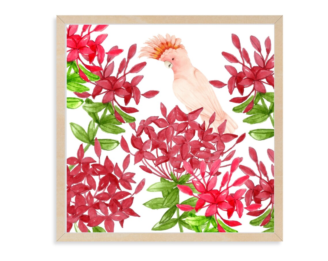 Pink Galah Cockatoo Red Floral Watercolor Australian Bird Art Poster