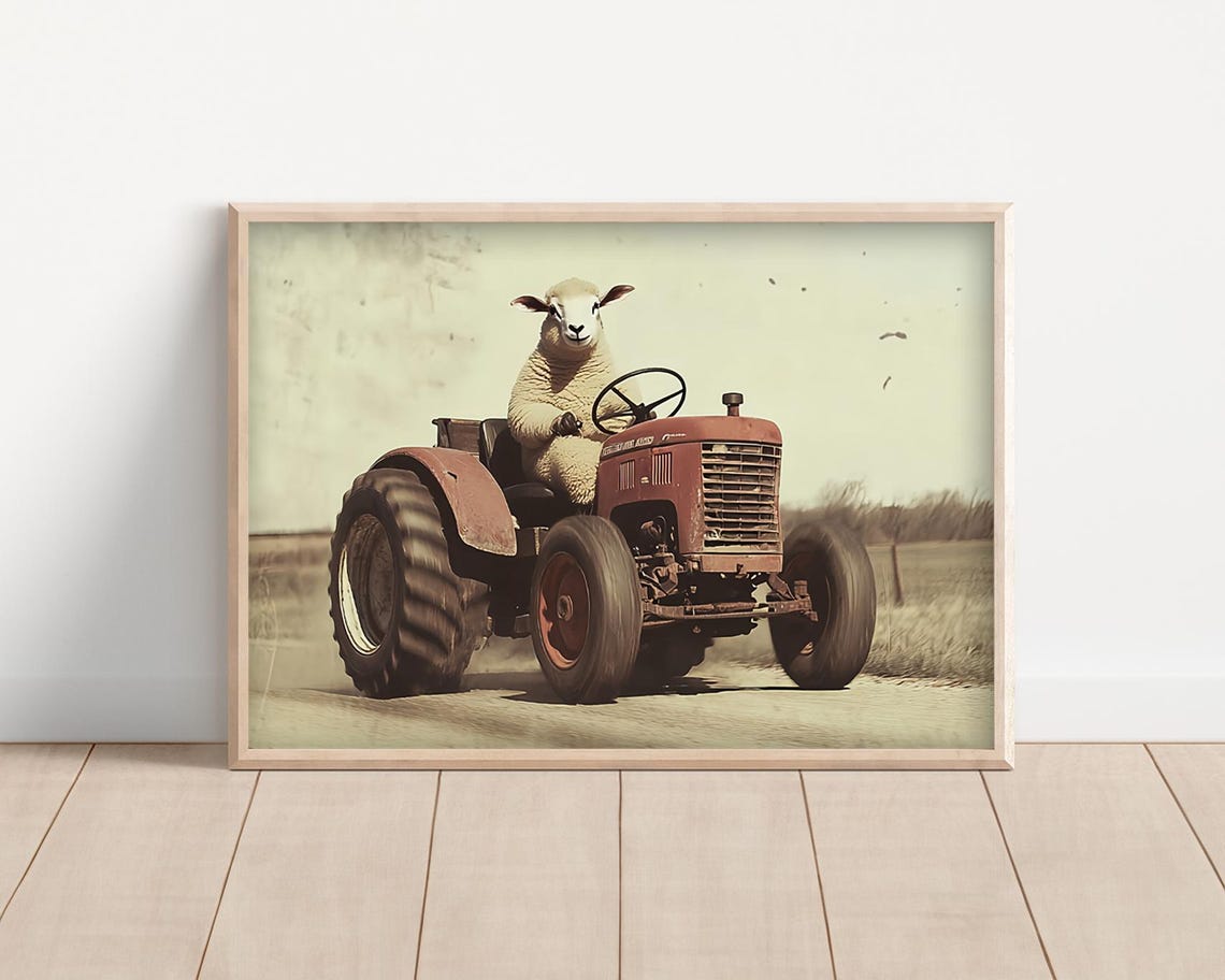 Fluffy Sheep Driving a Vintage Red Tractor Funny Farm Poster