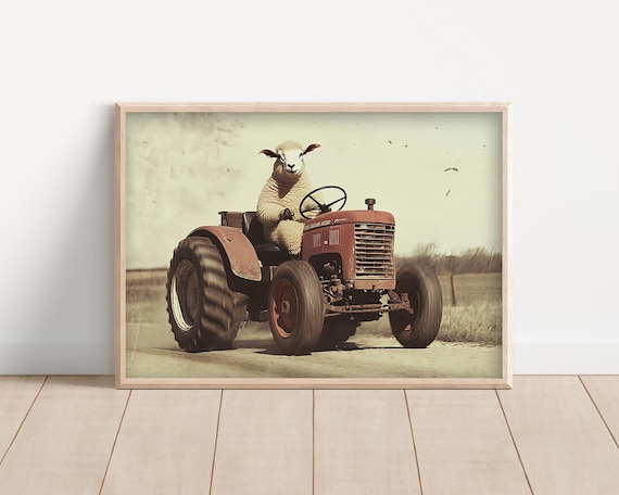 Fluffy Sheep Driving a Vintage Red Tractor Funny Farm Poster
