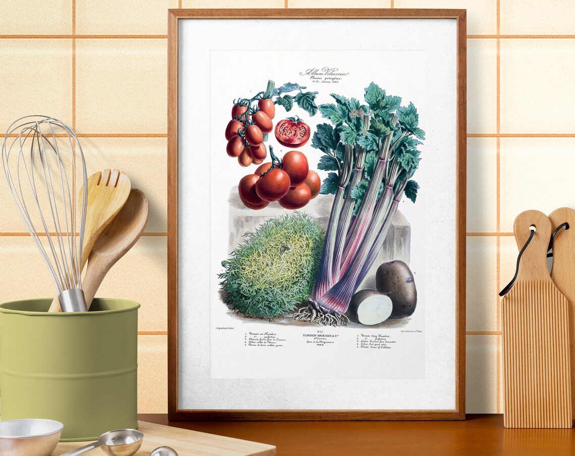 Vilmorin French Heirloom Vegetable Botanical Illustration Art Poster - Image 3