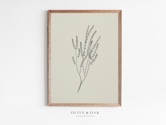 Rustic Branch Sketch, Vintage Botanical Art Print