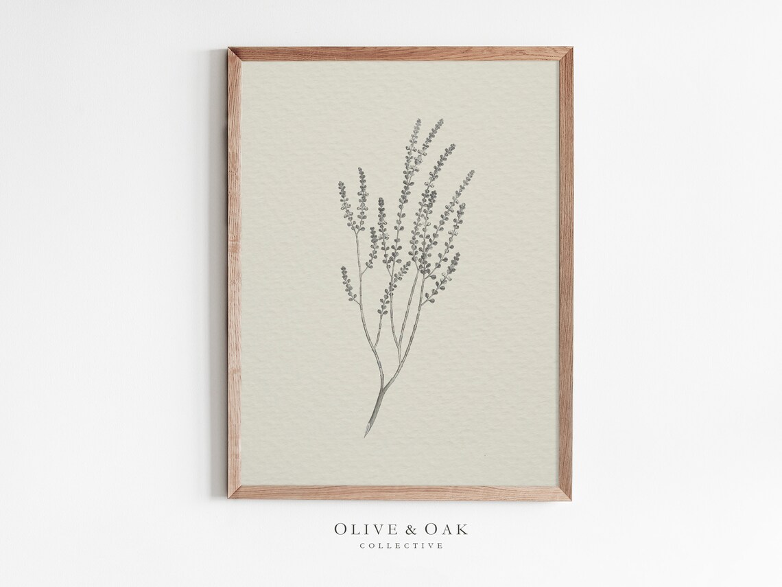 Rustic Branch Sketch, Vintage Botanical Art Print