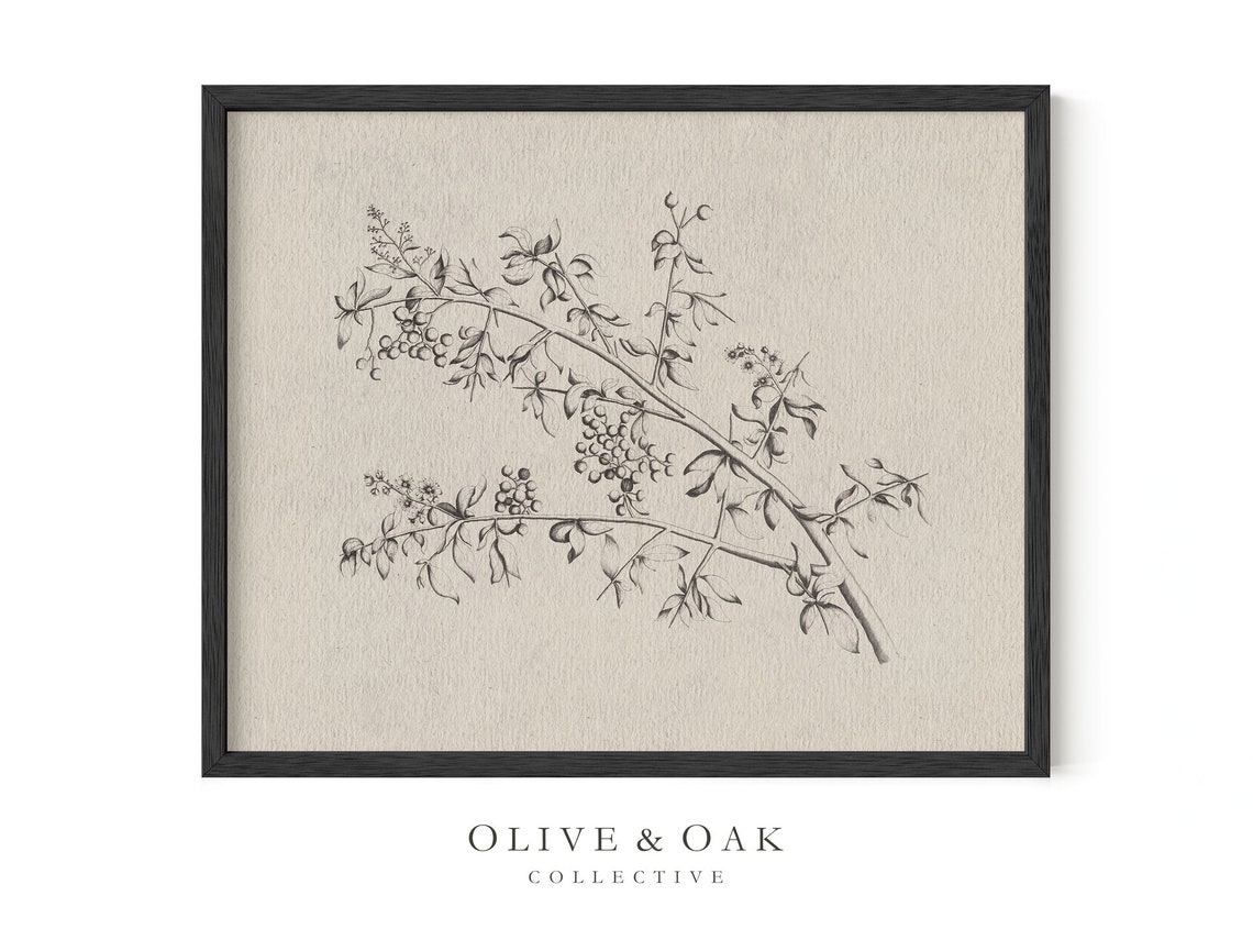 Neutral Branch Sketch - Vintage Botanical - Image 2