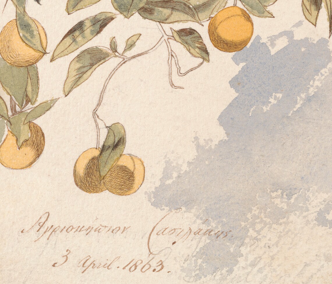 Vintage Botanical Lemon Painting, Farmhouse Kitchen Art Print - Image 2