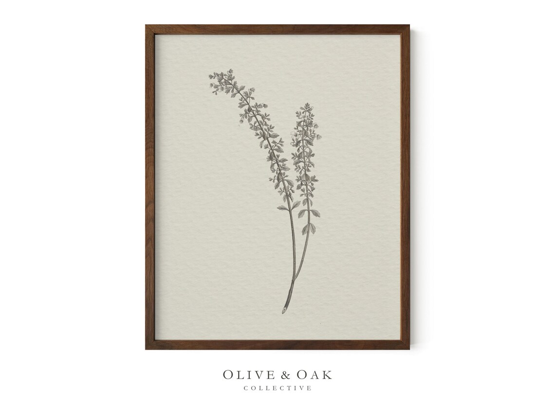 Vintage Botanical Drawing, Neutral Sketch Artwork - Image 2