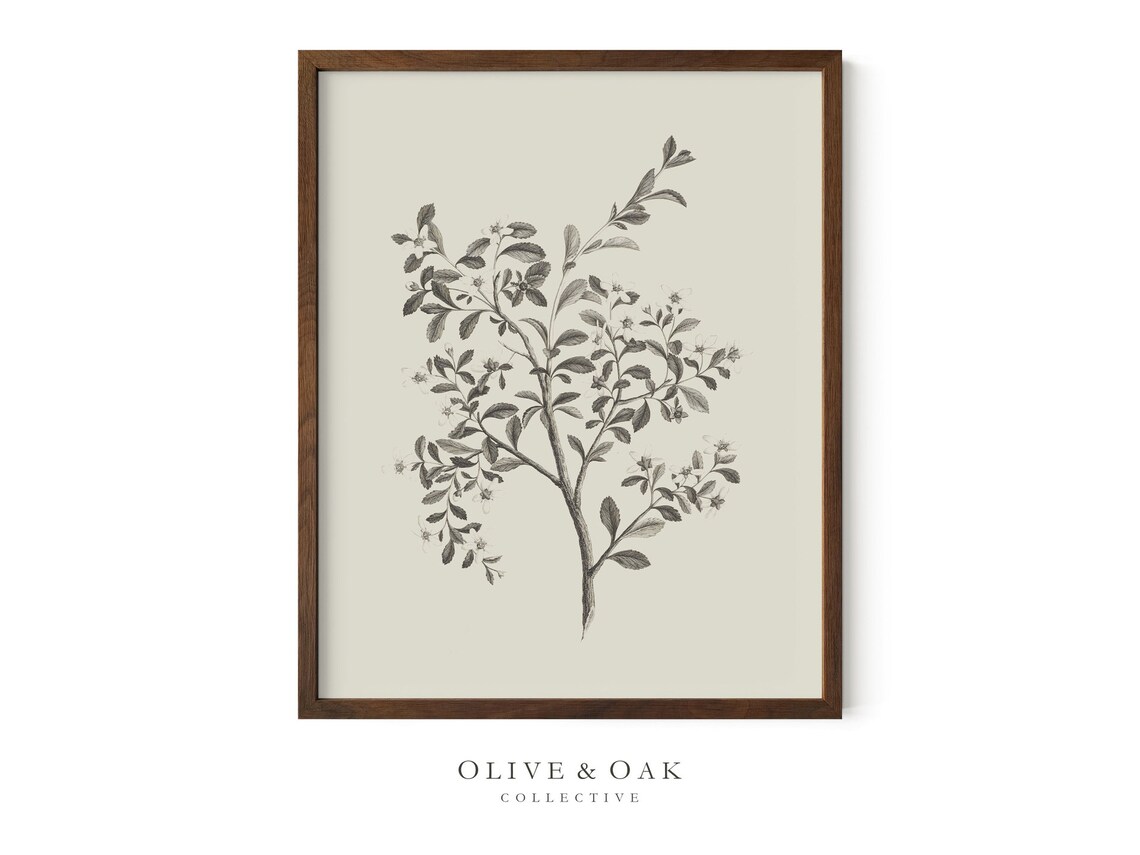Botanical Wall Art, Simple Branch Drawing - Image 3