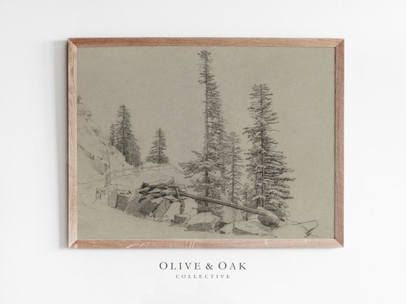 Rustic Landscape Drawing Spruce Tree Sketch Print Neutral Cabin Decor 345