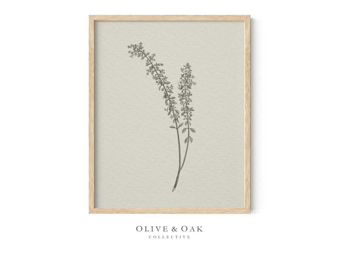 Vintage Botanical Drawing, Neutral Sketch Artwork - Image 4