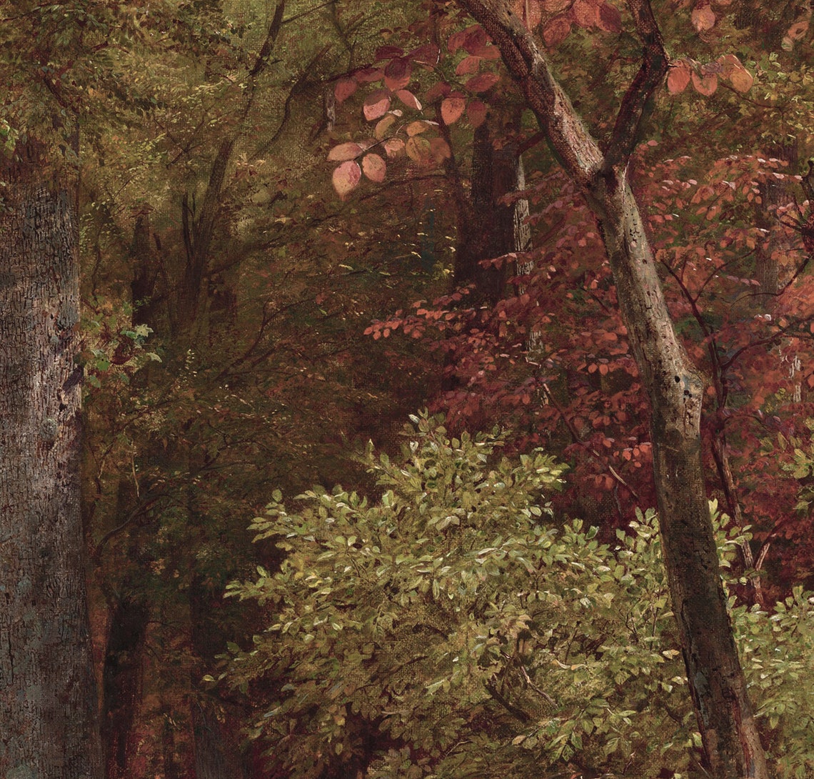 Autumn Forest Landscape Vintage Art Print - Image 3