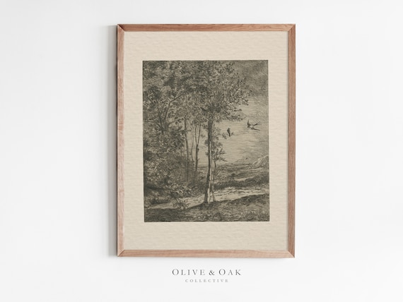 Vintage Tree Sketch Forest Landscape Art Print