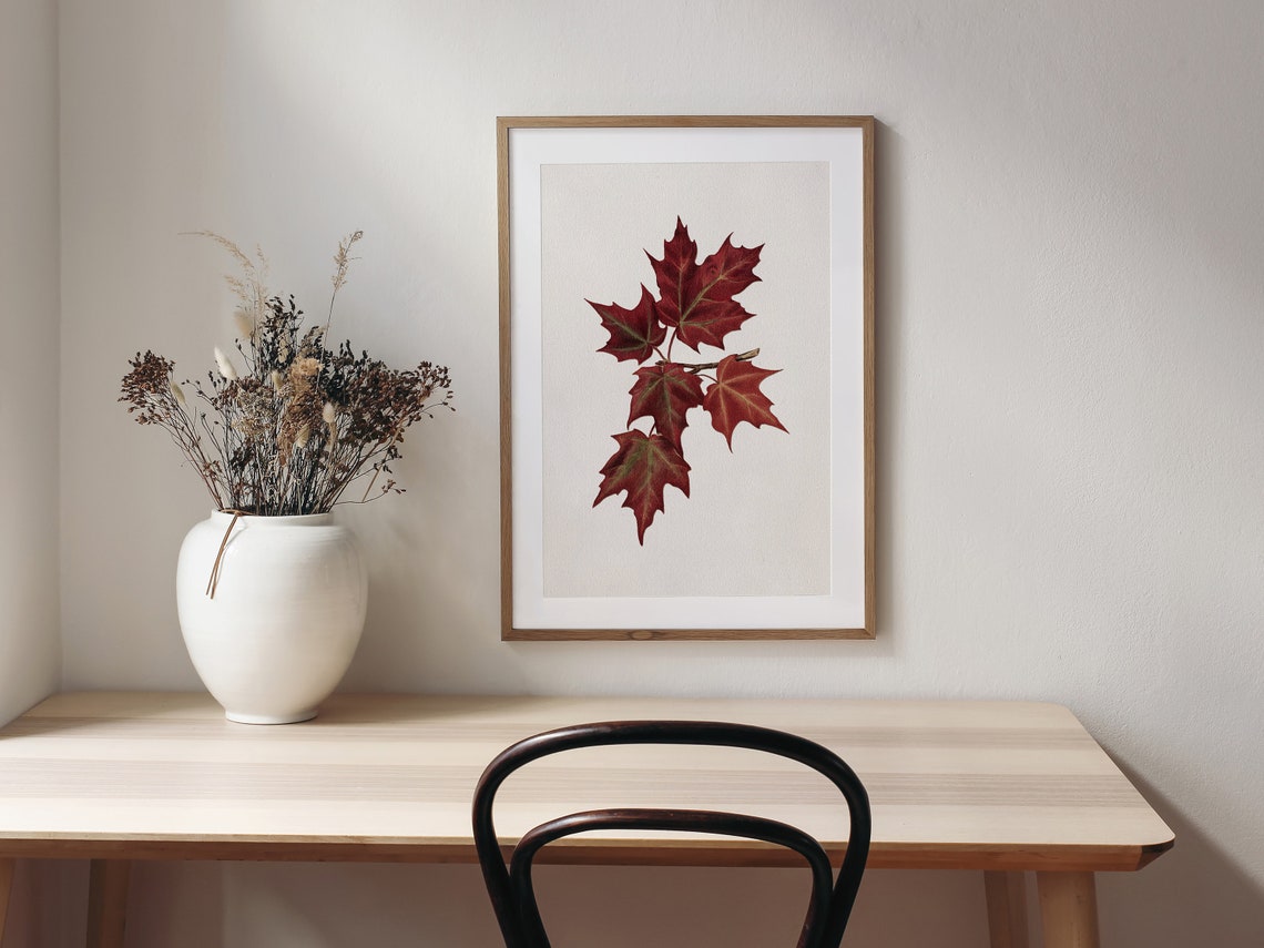 Maple Branch Drawing, Vintage Botanical Art Print - Image 4