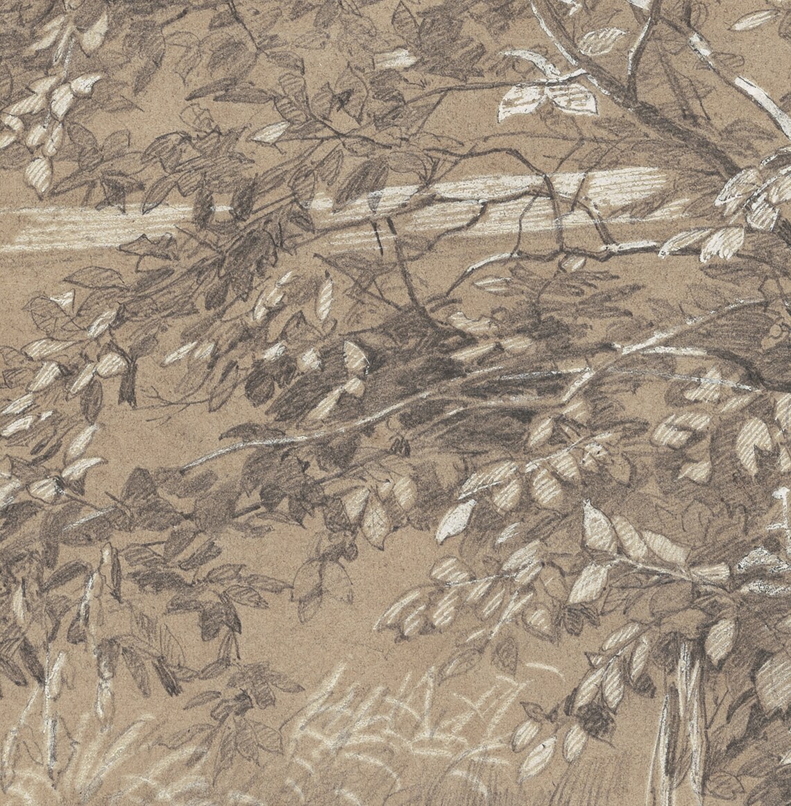 Antique Tree Drawing, Botanical Sketch Art Print - Image 3