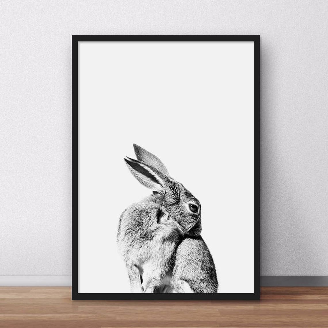 Peeking Rabbit Black And White Nursery Woodland Animal Poster
