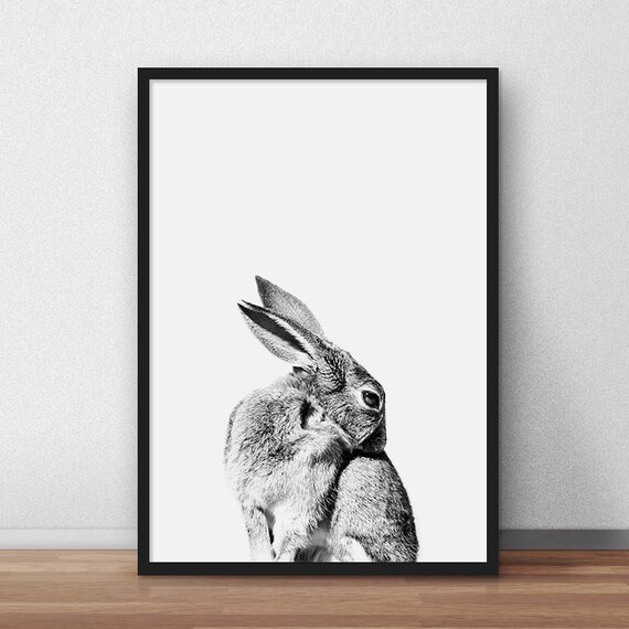 Peeking Rabbit Black And White Nursery Woodland Animal Poster