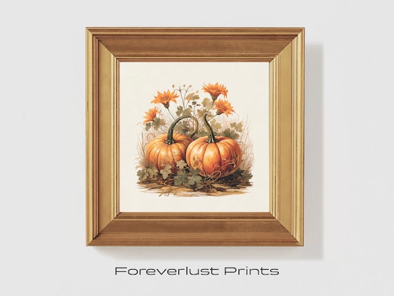 Two Pumpkins With Orange Blooms Rustic Autumn Harvest Art Poster