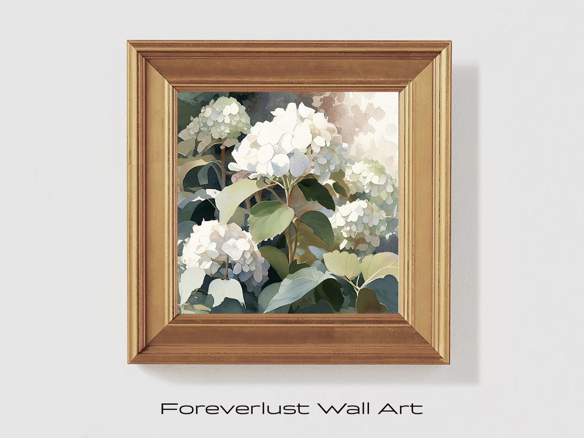 White Hydrangea Blooms Watercolor Painterly Floral Botanical Art Print