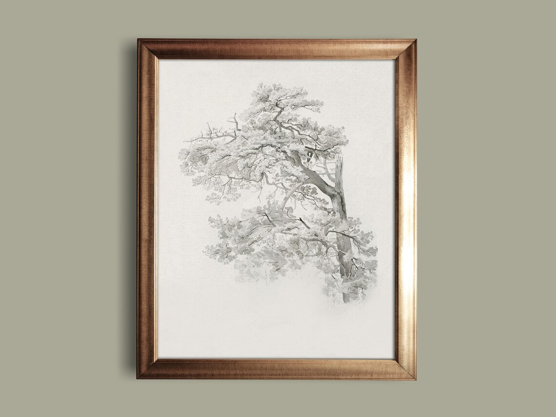 Antique Tree Drawing, Rustic Vintage Sketch - Image 2