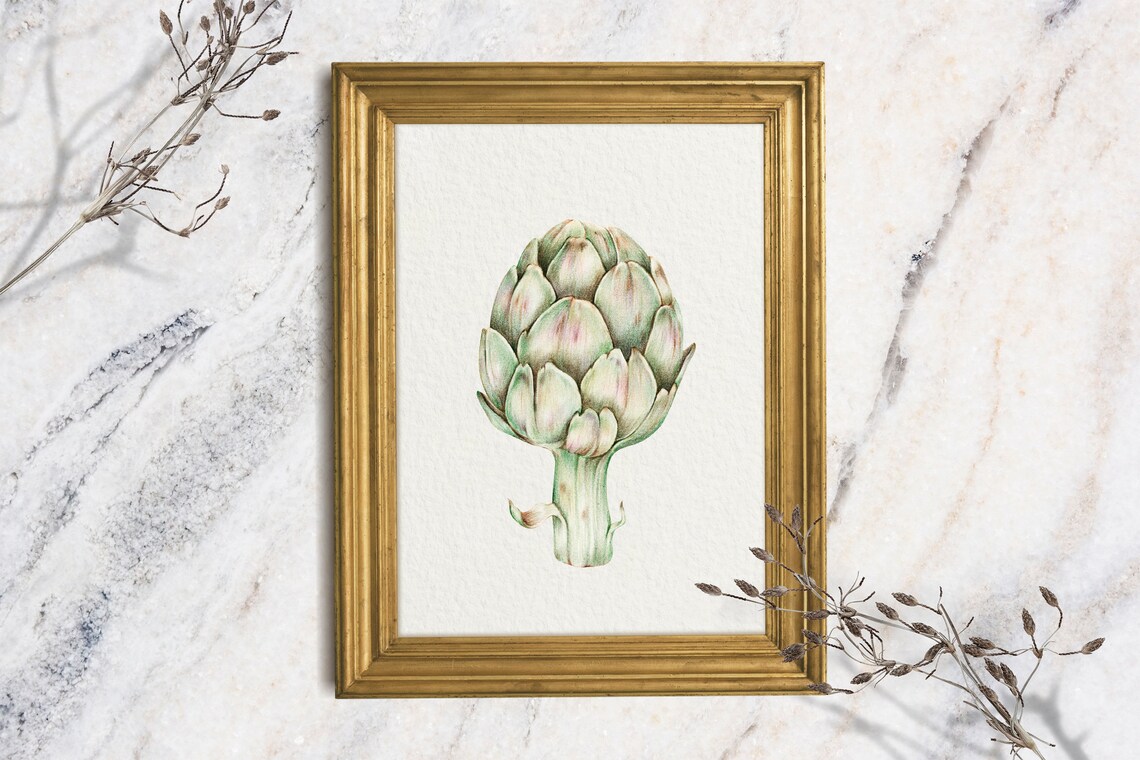 Artichoke Watercolor Botanical Kitchen Still Life French Country Wall Art Print