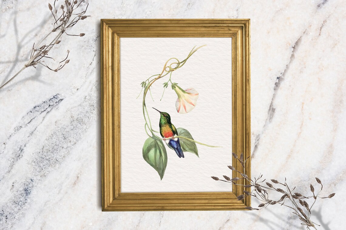 Hummingbird Art Print Bird Painting Vintage Botanical Wall Art Country Farmhouse Shelf Art Cottagecore Aesthetic Small Print Art Gift
