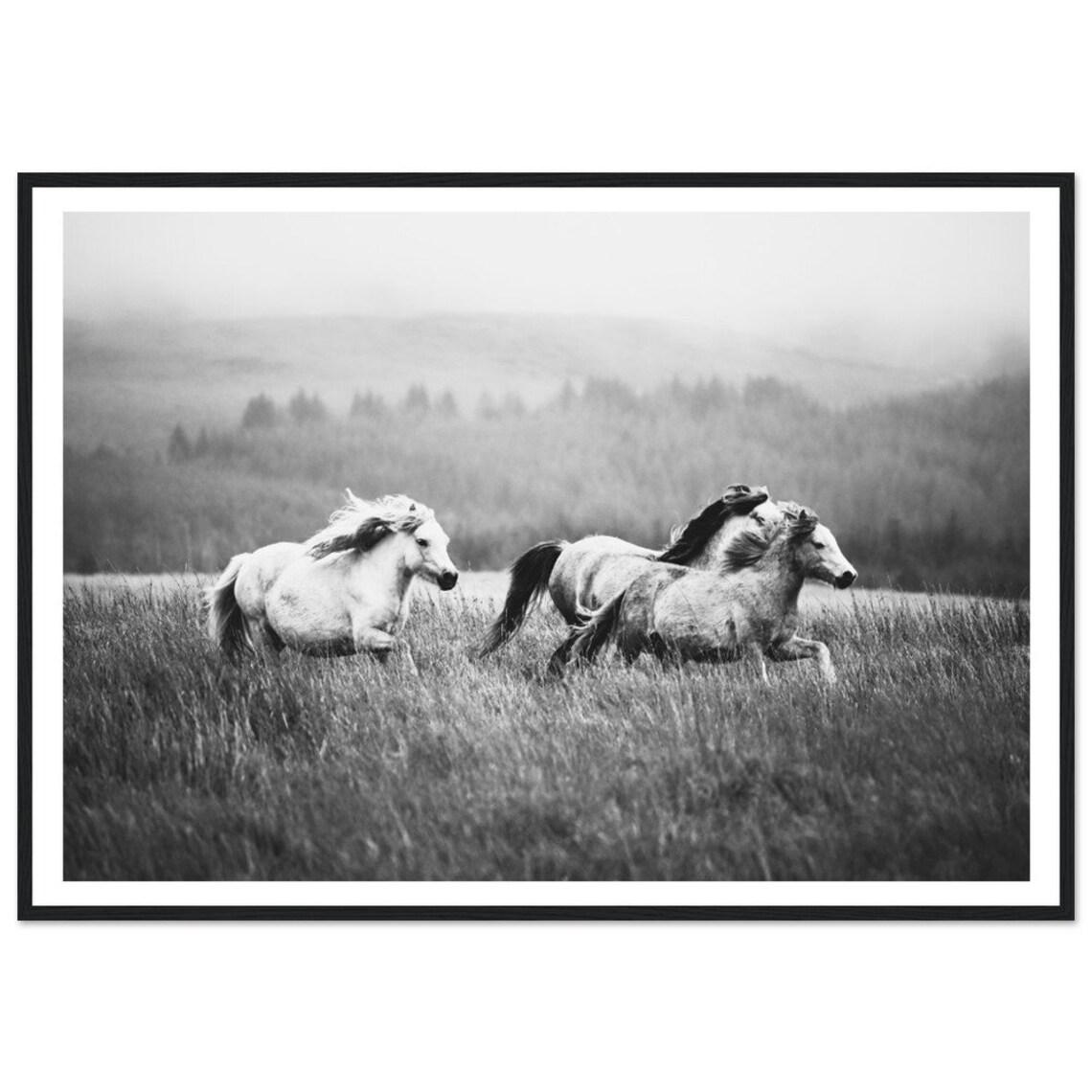 Wild Horses Mountain Print, Black And White Nature Art